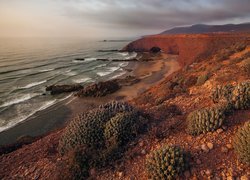 Marokańska plaża Lagzira