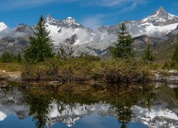 Góry, Alpy Pennińskie, Masyw Obergabelhorn Zinalrothorn, Jezioro, Drzewa, Odbicie, Szwajcaria