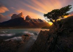 Park Narodowy Torres Del Paine, Góry Cordillera del Paine, Masyw Torres del Paine, Rzeka, Skała, Drzewo, Patagonia, Chile