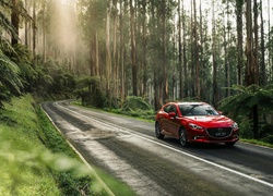 Czerwona, Mazda 3 SP25 Astina Sedan, 2016, Las, Droga