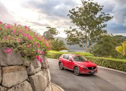 Mazda CX-5 Akera, 2017, Droga, Mur, Drzewo