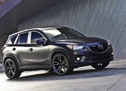 Mazda cx-5 tuning