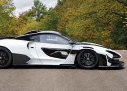 Biało-czarny, McLaren Senna GTR