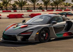 McLaren Senna XP El Triunfo Absoluto