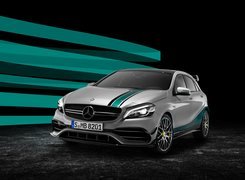 Mercedes-AMG A 45 Petronas, W176, 2015, World Champion Edition