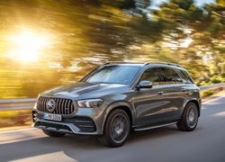 Mercedes-AMG GLE 53 na tle drzew