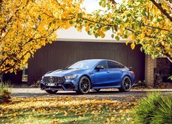 Niebieski, Mercedes-AMG GT 63 S, Drzewa