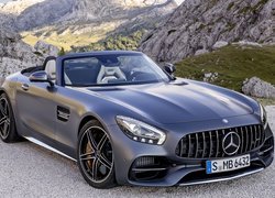 Mercedes-AMG GT C Roadster, 2018