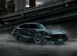 Mercedes-AMG GT R Coupe