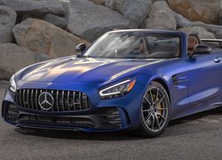 Mercedes-AMG GT R, Roadster