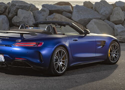 Mercedes-AMG GT R Roadster, Kabriolet, Tył