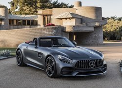 Mercedes-AMG GT, Roadster