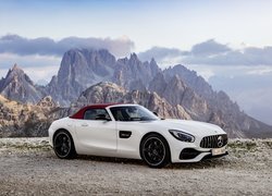 Mercedes-AMG GT Roadster C