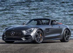 Srebrny, Mercedes-AMG GT, Roadster, Woda