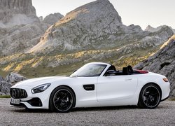 Mercedes-AMG GT Roadster