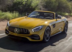 Mercedes-AMG GT S Roadster