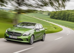Zielony, Mercedes-Benz A-Class A 220 d 4MATIC, 2016, Kolor Elbaite Green