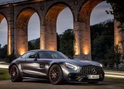 Mercedes-Benz AMG GT C Edition 50 2018