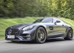 Mercedes-Benz AMG GT C Edition 50