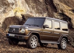 Mercedes Benz G-class 2018