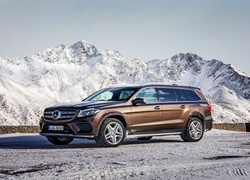 Mercedes-Benz GLS 350d 4Matic rocznik 2016