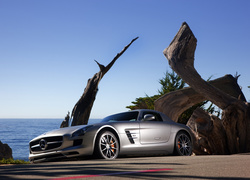 Mercedes-Benz SLS AMG, 2011