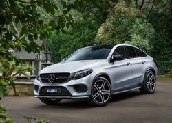 Mercedes GLE 450 AMG, Dom, Drzewa