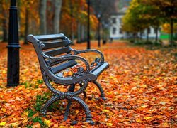 Metalowa ławka w parku jesienią