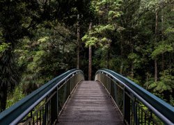 Metalowy most w lesie