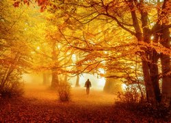 Mężczyzna na spacerze w jesiennym lesie