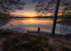 Jezioro, Drzewa, Zachód słońca, Ringerike, Norwegia