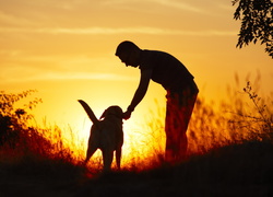 Mężczyzna z psem na łące w blasku zachodzącego słońca