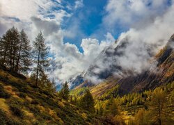 Mgła i chmury nad górami i doliną