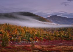 Mgła na wzgórzach jesienią