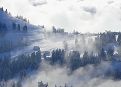 Zima, Góry, Drzewa, Domy, Mgła