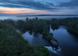 Mgła nad drzewami i rzeką