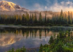 Stany Zjednoczone, Stan Waszyngton, Park Narodowy Mount Rainier, Stratowulkan, Góra, Drzewa, Jezioro, Reflection Lake, Mgła, Odbicie