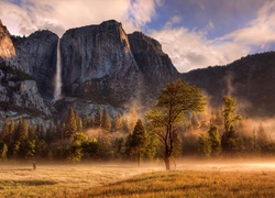 Stany Zjednoczone, Stan Kalifornia, Park Narodowy Yosemite, Skały, Drzewa, Góry, Mgła