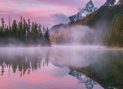 Góry, Drzewa, Las, Jezioro, String Lake, Mgła, Park Narodowy Grand Teton, Stan Wyoming, Stany Zjednoczone