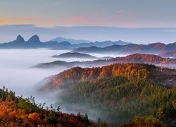 Mgła nad jesiennymi lasami i górami