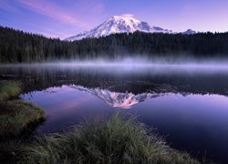 Stany Zjednoczone, Stan Waszyngton, Park Narodowy Mount Rainier, Góry, Stratowulkan Mount Rainier, Las, Jezioro Bench Lake, Trawa, Mgła, Odbicie