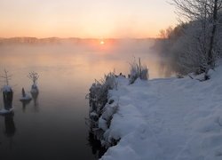 Zima, Jezioro Białe, Oszronione, Rośliny, Kołki, Wschód słońca, Mgła, Miejscowość Szatura, Obwód moskiewski, Rosja