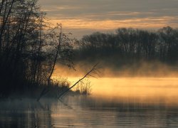 Jezioro, Las, Drzewa, Mgła, Szatura, Obwód moskiewski, Rosja