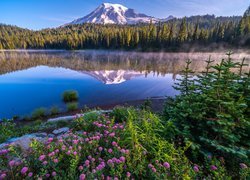 Stany Zjednoczone, Stan Waszyngton, Park Narodowy Mount Rainier, Stratowulkan, Góra, Drzewa, Kwiaty, Jezioro, Reflection Lake, Odbicie