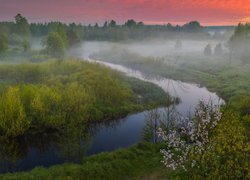 Rzeka Uzola, Łąki, Drzewa, Mgła, Wiosna, Poranek, Rosja