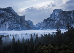 Stany Zjednoczone, Stan Kalifornia, Park Narodowy Yosemite, Góry, Sierra Nevada, Skały, Chmury, Lasy, Drzewa, Mgła