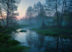 Mgła nad leśną rzeką o poranku