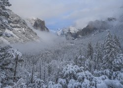 Zima, Góry, Drzewa, Lasy, Mgła, Golina, Yosemite Valley, Park Narodowy Yosemite, Kalifornia, Stany Zjednoczone