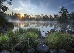 Rosja, Wschód słońca, Jezioro Ładoga, Kamienie, Drzewa, Trawa, Rośliny