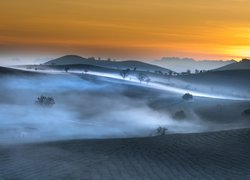 Mgła nad polami herbaty w wietnamskiej prowincji Son la